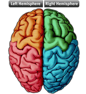 Brain Hemisheres